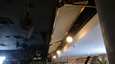 金色夏威夷蓬（péng）