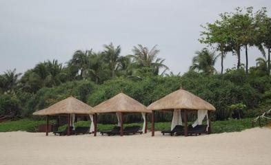 四（sì）川遮（zhē）陽棚雨季如何保養（yǎng）？